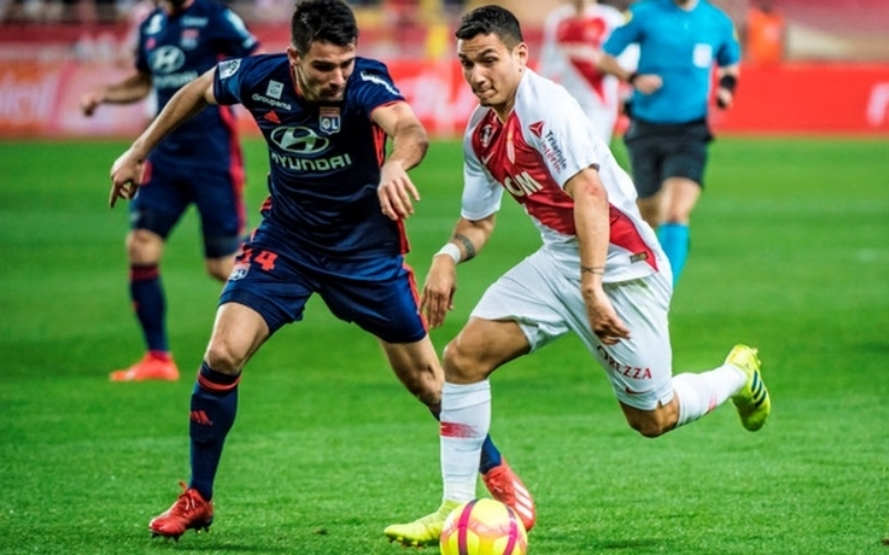 Lý Do Đặt Cược Và Tỷ Lệ