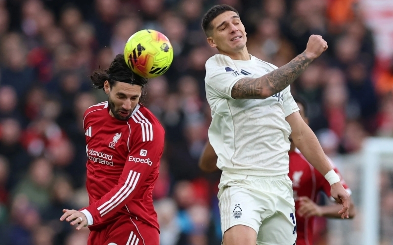 Cách đọc bảng kèo nhà cái trên điện thoại nhanh chóng nhất